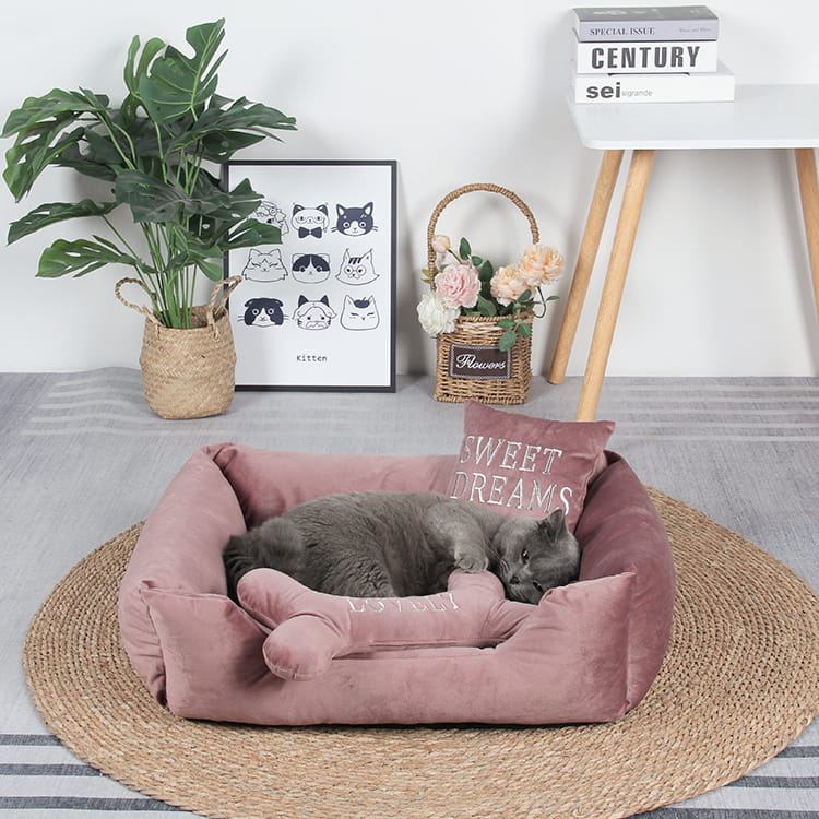 TOP-19396 Cama ortopédica para mascotas calmante de espuma con almohada